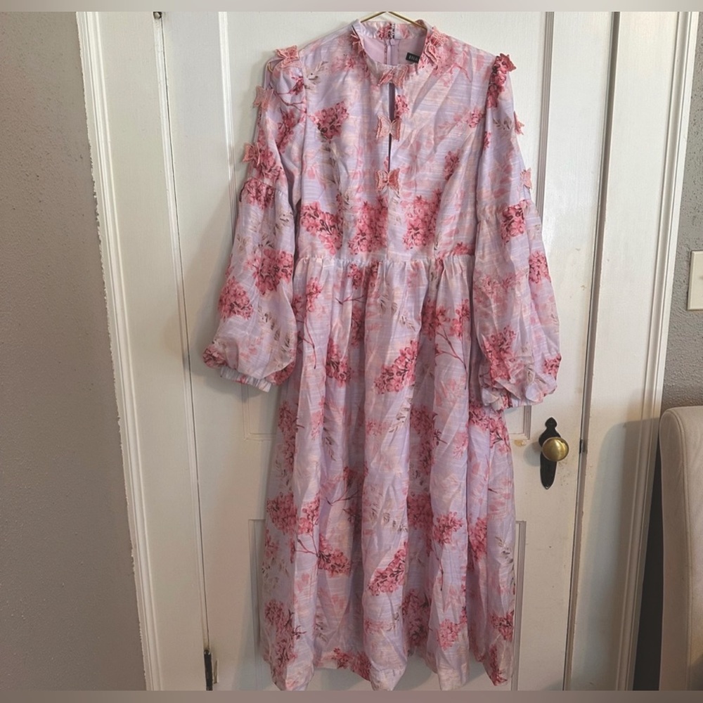NWT beautiful dress from Red Dress Boutique